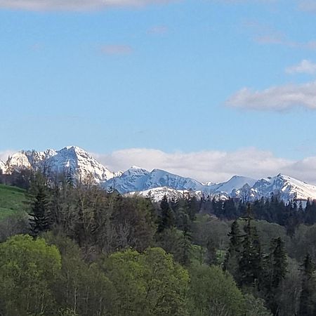 Domki U Jacka Sauna Bilard Tenis Air Hockey Pilkarzyki Bawialnia Plac Zabaw Zakopane Luaran gambar